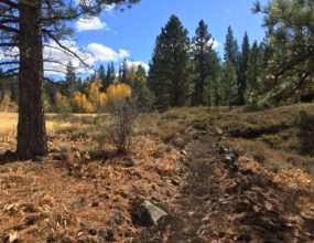 Take Care Tahoe - Events and Things to Do in Tahoe