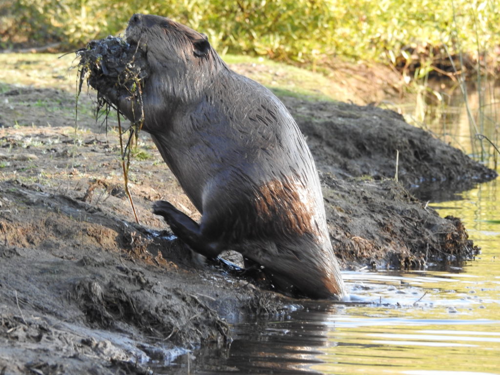 MythBusters Lake Tahoe Edition Take Care Tahoe