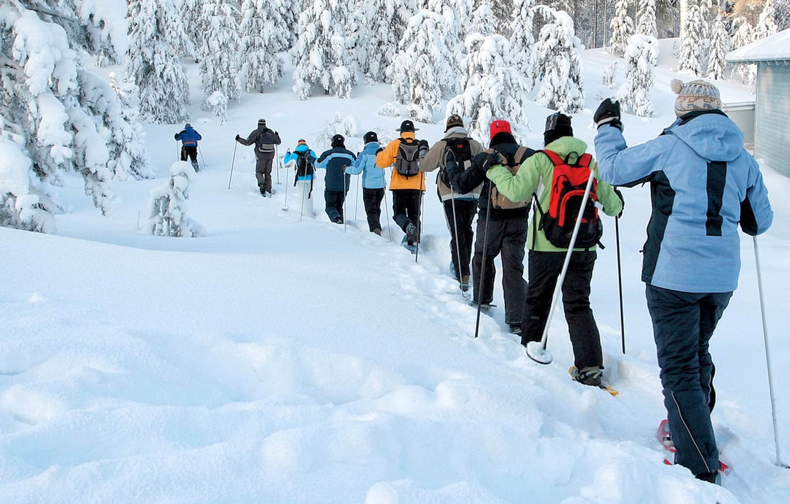 Sugar Pine Foundation Snowshoe with the Experts Take Care