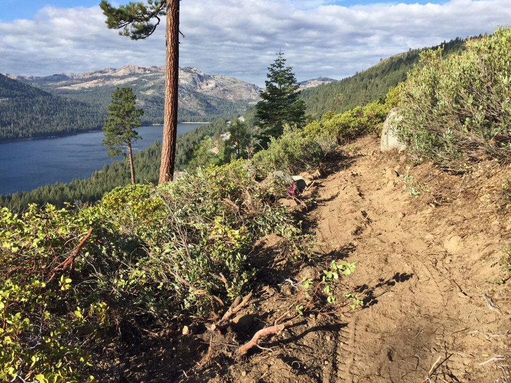 Enjoy Donner Lake Rim Trail With Truckee Donner Land Trust Docent Hike Take Care 5874