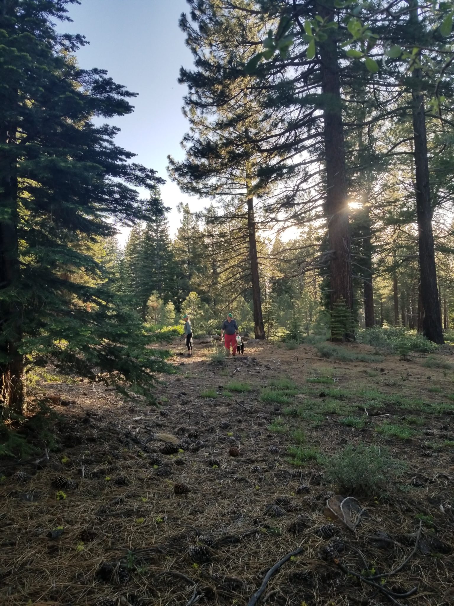 Magnifeye Truckee - cc854ls