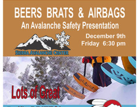 Poster for the Beer, Brats, Airbags presentation.