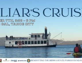 A Liar's Cruise poster