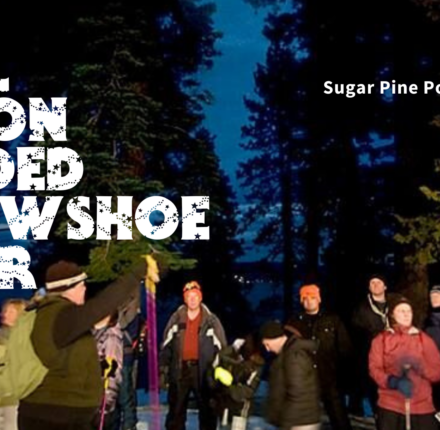 full moon snowshoe tour at sugar pine point state park