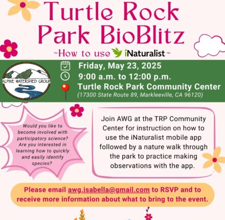 2025 Turtle Rock Park BioBlitz Flyer