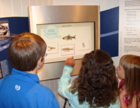 Kids use the touchscreen inside the Eriksson Education Center located at the UC Davis Tahoe City Field Station