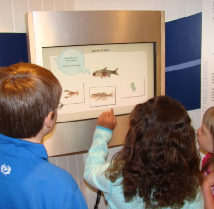 Kids use the touchscreen inside the Eriksson Education Center located at the UC Davis Tahoe City Field Station